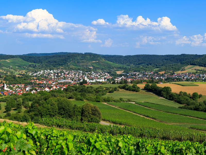 Luftbild der Gemeinde Oberstenfeld mit vielen Häusern und Wäldern.
