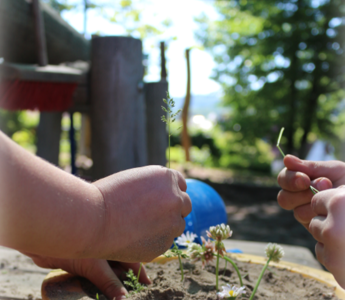 Hände von zwei Kindern über einem Blumentopf mit Erde gefüllt. Es werden Pflanzen eingesetzt und in der Hand gehalten. 