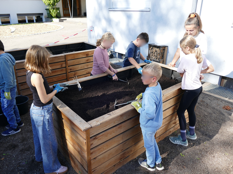 Eine Gruppe von Kindern arbeitet zusammen mit einer Betreuungsperson an einem großen Hochbeet im Freien.